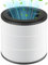 Riwer Replacement Filter True HEPA Compatible for Philips 800 Series Air Purifier AC0830/10 AC0820/30 AC0820/10 AC0819/10, Replace Part FY0194/30, H13 Air Clean