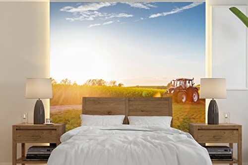 Selbstklebend Tapete Wandpapier Wandaufkleber Fototapete Tapeten Wanddeko 350x350 cm Traktor - Gras - Sonnenuntergang