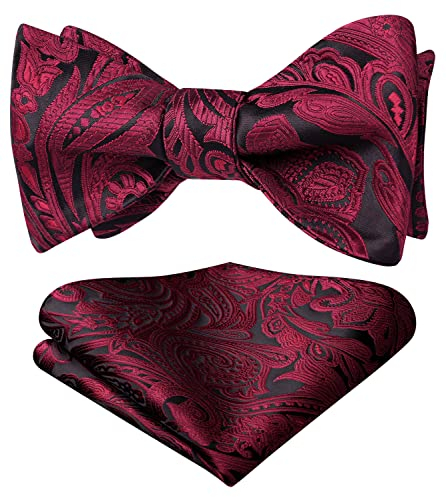 HISDERN Fliege Herren Rot Fliegen mit Einstecktuch mit Klassische Paisley Verstellbar für Bräutigam Hochzeit Party Fasching