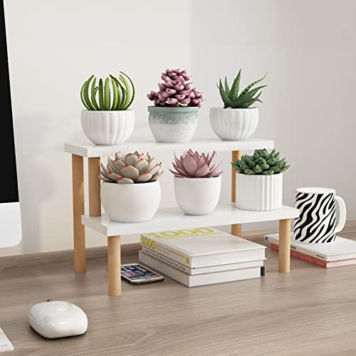 2 Tiers Desk Ladder Shelf White