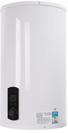 panfudongk Scaldabagno elettrico, scaldabagno 230 V, scaldabagno istantaneo per doccia e cucina 2000 W, scaldabagno verticale 70 litri, IPX4, per cucina, bagno, ripostiglio, garage