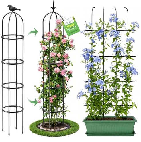 MQUPIN Treillis de Jardin pour Plantes Grimpantes,192CM Noir Tour Jardin Obélisque Treillis Métal Antirouille Plante Pot Support Escalade pour Intérieur Extérieur Fleurs Légumes Fruits(1 Pièces)