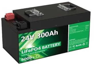 Cycles De Batterie Au Lithium LiFePO4 24V 300Ah 200Ah 100Ah 340Ah 140Ah 12V for Bateau De Voiturette De Golf RV Solaire(24V 100Ah 2.56Kwh)
