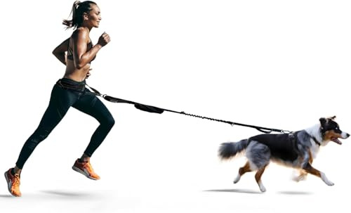FITLY Dog Running Taillengürtel - Laufhund -Blei - Canicross -Kabelbaum transportiert persönliche Gegenstände, Spaziergänge, Wanderungen - Taille