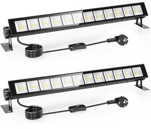 Indmird 2 Stück LED Strahler Außen 30W, 6500K Kaltweiß Led Wallwasher Licht | LED Strahler mit Stecker und Schalter, IP66 Wasserdicht LED Außenstrahler Led Flutlicht für Garten Innenhöfe Fabrik Laden