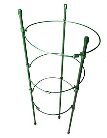 Rankgitter Pflanzenstütze Metall Staudenhalter Strauchstütze Rankhilfe Rankstütze für Garden Pflanzen Rose Tomaten Gurken Sträucher Lilie Pfingstrose Hortensie 45cm 4 Stück