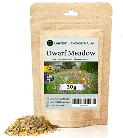 Dwarf Meadow Wild Flower Seeds - Low Growing 100% Wild Flower Seeds - Garden Lawncare Guy