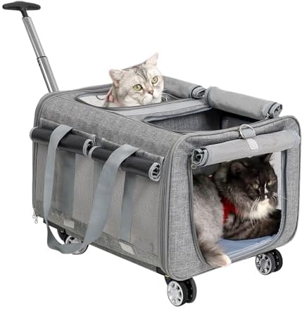 MR.BLACAT Transportbox Katze groß für 2 Katzen mit Rollen – Katzen Trolley für 2 Tiere,Transporttasche mit Rollen & Sicherheitsgurten für Reisen, Tierarzt & Camping (53x44x33 cm)