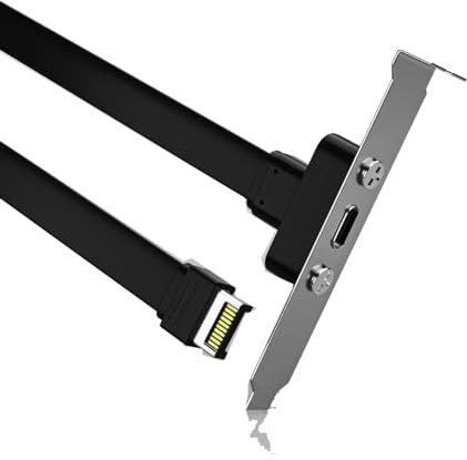 Sintech Panel trasero USB 3.2 USB tipo C de 20 Gbps, USB-C hembra a USB tipo E macho de 20 pines, cable de extensión de 30 cm con soporte PCIe