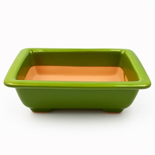 FRANCACOR Maceta TERRINA Bonsai Barro ESMALTADO Colores (21.5 X 14.5 X 7 CMS, Verde)