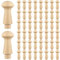 50 Pcs Mini Shaker Pegs Unfinished Wood Shaker Pegs 0.98 x 0.43 Inch Smooth Texture Wooden Pegs for Hanging Coat Cup Mug Towel Wall Organizing Supplies
