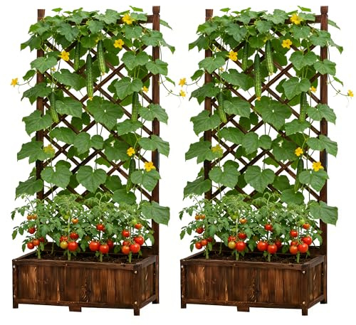 Anraja Maceta elevada de jardín con enrejado, caja de madera para exteriores, juego de 2 macetas de pie para flores, paneles de celosía de privacidad con patas para patio, porche con agujeros de
