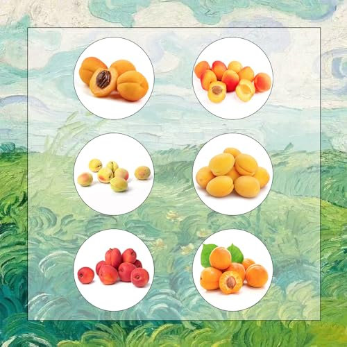 semillas de albaricoque, árboles frutales columnares, plantas exóticas resistentes semillas de albaricoquero semillas de frutas, decoración de jardín para exterior semillas orgánicas, 5pcs