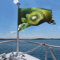 Drapeau de jardin saisonnier 4 x 6 pieds, kiwi vert, drapeau saisonnier de printemps pour décoration extérieure de vacances