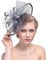 YJZQ Women Elegant Fascinator Hat Flower Feather Mesh Net Veil Headband Bridal Feather Hair Clip Accessories Pillbox Cocktail Royal Ascot Tea Party Church Derby Hat