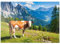 MyPuzzle Kuh grast auf Einer Alpenwiese in den Dolomiten - Premium 1000 Teile Puzzle - MyPuzzle Sonderkollektion von Puzzle Galaxy