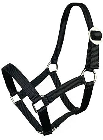 York Halfter Shetty Ponyhalfter Pferdehalfter Bandhalfter Pony (schwarz)