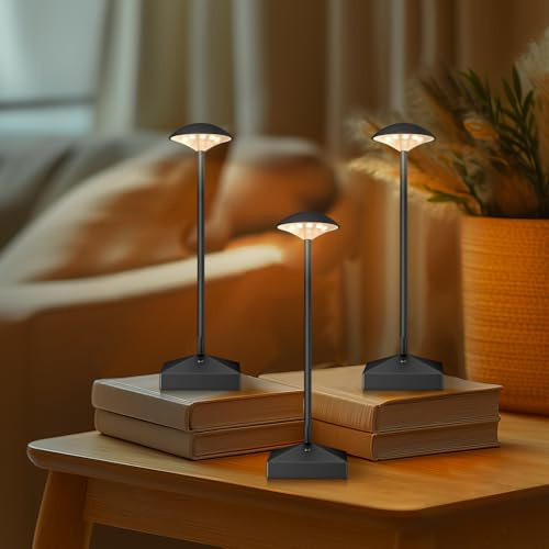 FUNTAPHANTA 3 Pack Small Gold Rechargeable Cordless Table Lamps Dimmable | Cordless, Battery Powered, Portable LED Night Light, For Bedside, Bathroom, Desk, Outdoor