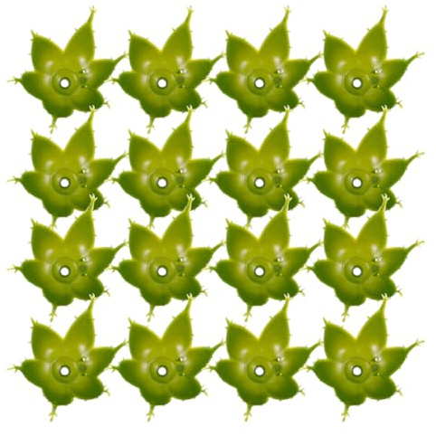 YARNOW Accessoires pour Bouquets 60 Calices de Roses Flexibles en Plastique, Bases pour Compositions Soi-Même, Supports pour Décorations D’Intérieur et Mariages