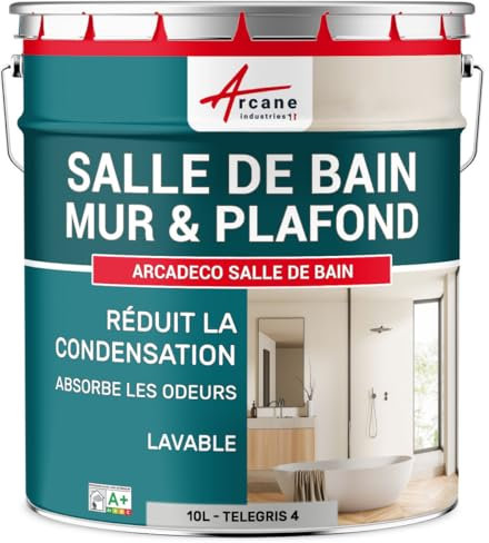 Peinture salle de bain, mur et plafond, condensation - 10 L Telegris 4 - RAL 7047 - ARCANE INDUSTRIES