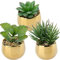 Lot de 3 plantes succulentes artificielles - Décoration printanière - Plantes artificielles dans un pot en céramique - Décoration pour salon, jardin, balcon, chambre à coucher, salle de bain