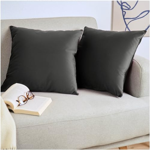 Blumtal 2er Set Kissenbezug 60x60 cm Anthrazit - dekorativer Samt Kissenbezug mit verstecktem Reißverschluss, Kissenhülle für Zierkissen Deko-Kissen Polster Sofakissen & Couchkissen, waschbar