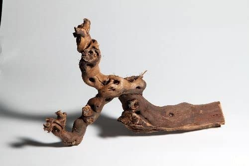 M&S Reptilien Rebwurzel XL, Länge: ca. 70-80cm