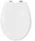 ANYCEE Toilettendeckel Universal Oval aus Duroplast, WC Sitz mit Absenkautomatik, klodeckel mit Absenkautomatik, Toilettensitz mit Antibakterielle, WC Deckel mit Quick-Release-Funktion, Klobrille