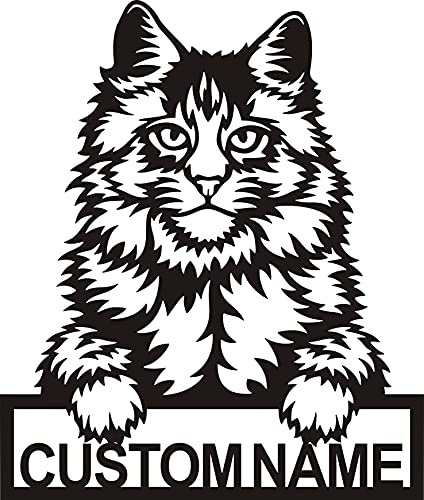Personalisierte Maine Coon Katze Metallschild Kunst | Benutzerdefinierte Maine Coon Katze Metallschild | Geburtstagsgeschenk | Tier lustig