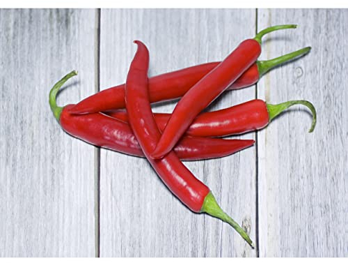 Modern Picture Paprika Gemüse Bild Küche Wanddeko Wandbild Kunstdruck 40 x 30 cm