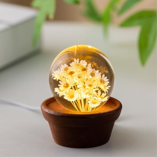 Kristallkugel Nachtlicht mit Ewiger Blume 60mm, Harz Lampe mit Buchenholzsockel, USB Deko Leuchte, Einzigartige Geschenke für Frauen, Mama, Geburtstag, Valentinstag, Jahrestag (Gelbe Gänseblümchen)