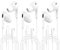 3 Pack USB Type C Headphones,In Ear Wired Earphones HiFi Stereo Noise Isolating Earbuds with Mic&Volume Control for iPhone 15 Plus Pro Max Pro,Samsung Galaxy S24 S23 Ultra A53,iPad Pro/Air/Mini, Pixel