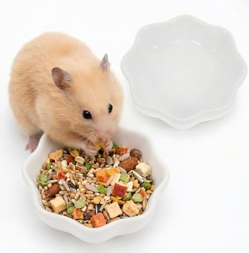SUPVOX 2 Pack 7cm Ceramic Hamster Bowls, Non-Tip Food Water Dishes | Heavy ceramic bowls for small pets, Prevents chewing and tipping over, keeping your hamster cage clean and dry