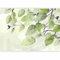 murando - Papier peint panoramique nature 350x256 cm - Revêtement mural décoration pour chambre salon - Design unique et moderne - Vert gris - Oiseaux feuilles plantes arbres nature b-A-0908-a-b