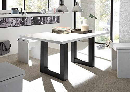 58 aufm Kessel Esszimmertisch Eila 8 200 x 100 x 75 Esstisch Schwarzstahl/Weiß Matt Lack 13386-200