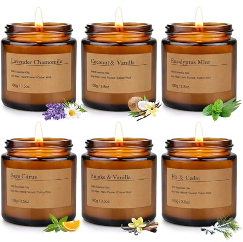 6-Pack Scented Candles for Home, 3.5 Oz Soy Wax Candles Gift Set with Lavender Chamomile & Eucalyptus Mint for Brithday Gifts Women, Mothers Day