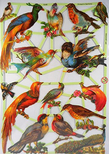 Glanzbilder Vogel Pfau Amsel EF 7246 Oblate Posiebilder Scrapbook Deko GWI 389