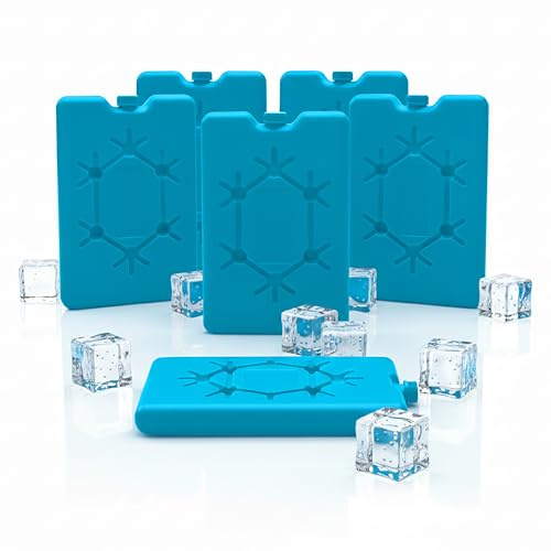 Spetebo Kühlakku oder Flexible Kühlmatte in praktischen Sets - Kühlkissen für Kühlboxen - Kühl Matte EIS Beutel Kissen zum Getränke kühlen Grillen Picknick Ausflug