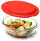NUTRIUPS Pirofila da Forno in Vetro con Plastica Coperchio, 1,4L 21x16,8x6,8cm Piccolo Vetro Cocotte da Forno