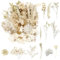 Getrocknete Blumen, gepresste Blumen, Trockenblumen, getrocknete Blumen, Basteln für Heimwerker, Kunstharz, Scrapbooking, Schmuckherstellung, Blumendekorationen (reines Weiß)
