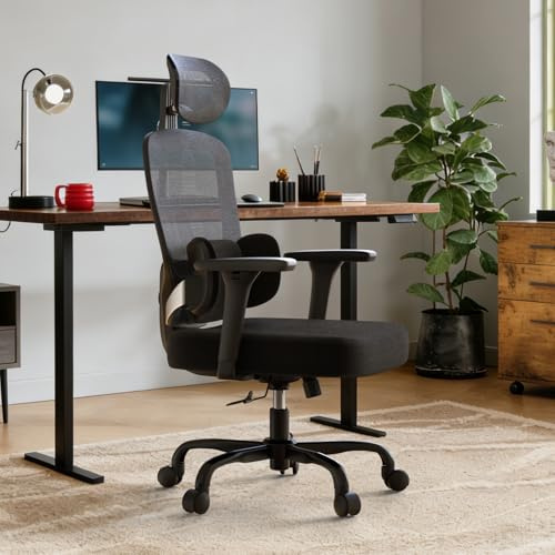 naspaluro Ergonomic Office Chair, Desk Chair for Home Office with 3 Stage Lumbar Support,Mesh Gaming Chair with 3D Armrests & 2D Headrest, Tilt Function Computer Chair for Home Office Study,Black