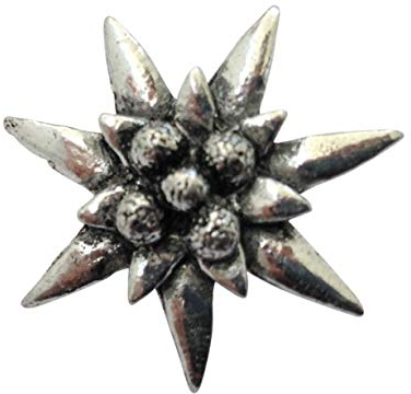 Ansteckpin Edelweiss | für den Hut oder das Revers | Perfekt zum Trachten-Outfit | Anstecker Pin Button | Altsilber