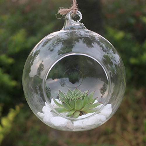 Generisch Hängende Glaskugel Vase - 3 Pcs Große Öffnung Sukkulenten Aufhängen Terrarium Glas - Flower Air Glaskugel Pflanzgefäß Container für Home Party Hochzeitsgarten DIY Desig 8CM+10CM+12CM (A)