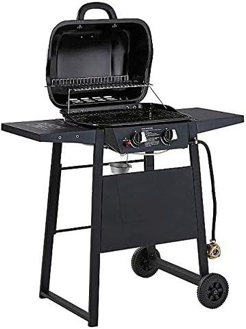 2 Burner Gas Barbecue- BBQ EXPERT GRILL- OUTDOOR- INDOOR- Suitable for 14 Burgers
