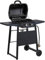 2 Burner Gas Barbecue- BBQ EXPERT GRILL- OUTDOOR- INDOOR- Suitable for 14 Burgers