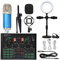 Kit Scheda Audio Pacchetto Microfono a condensatore da Studio Professionale Kit Microfono WXH1000 con Scheda Audio dal Vivo Configurazione per Studio Wireless Karaoke Bluetooth per la Registrazione