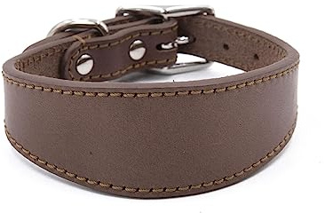 Osdhezcn Breites gepolstertes Hundehalsband, echtes Leder, Welpenhalsbänder für Lurcher, italienische Windhunde, bequemes Haustierzubehör, Hundezubehör, Haustierzubehör, Haustierzubehör