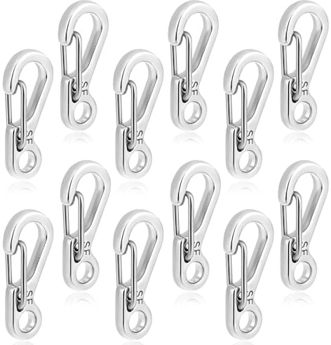 12 Stück Karabinerhaken Klein 2.4cm Mini Karabiner Edelstahl Karabiner Schlüsselanhänger Kleiner Silber Schlüsselanhänger Mit Schnappverschluss Schlüssel für Camping Reisen Rucksack Gürtel