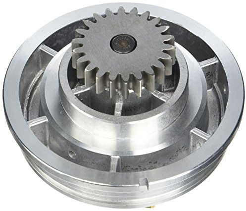 Dolz R611
