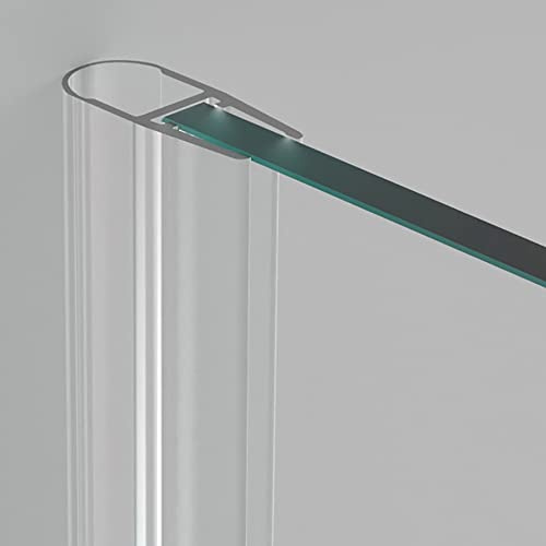 Duschdichtung von .one Bath I Dichtung für Duschtüren I 6 mm - 8 mm Glasstärke I 1 cm - 200 cm Länge I Lippe für Duschwand, Duschkabinen und Duschtüren (Modell 8 8mm Türstärke 200cm Türlänge)